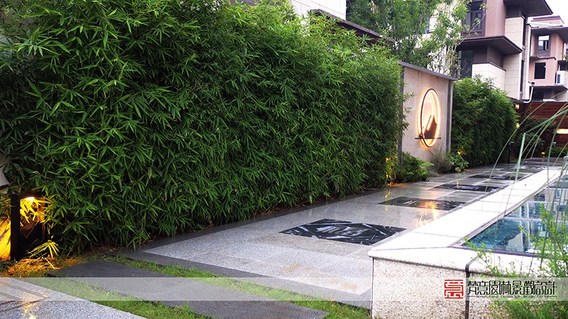 庭院設(shè)計實景圖 庭院設(shè)計實景圖